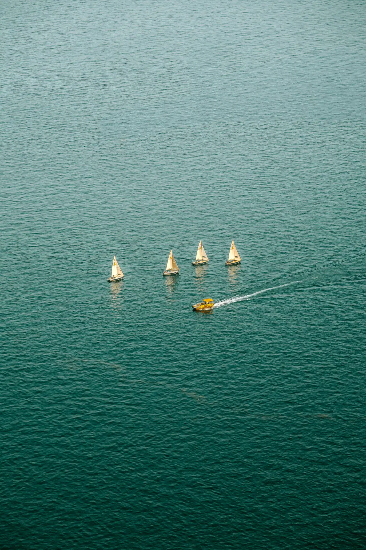 Sailboats on open water